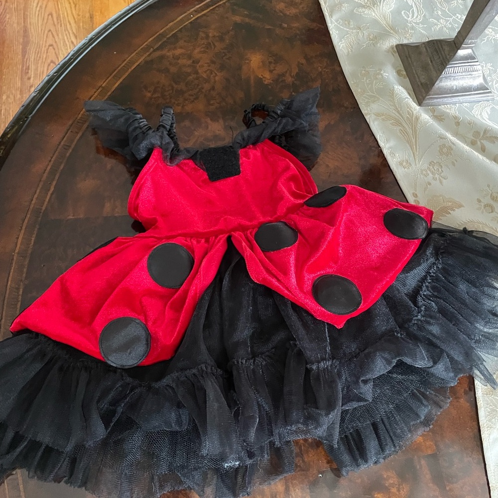 Lady bug costume. Size 2t - Picture 3 of 6